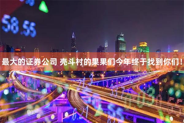 最大的证券公司 壳斗村的果果们今年终于找到你们！
