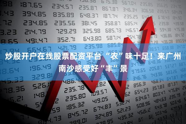 炒股开户在线股票配资平台 “农”味十足！来广州南沙感受好“丰”景