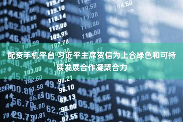 配资手机平台 习近平主席贺信为上合绿色和可持续发展合作凝聚合力